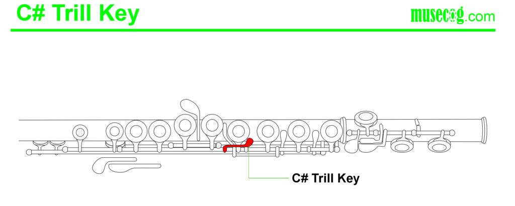 C sharp trill key flute