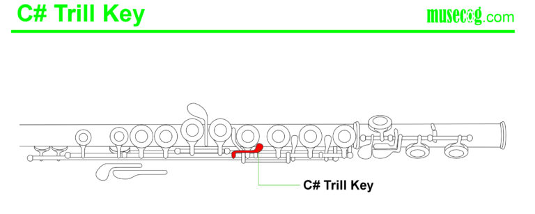 C sharp trill key flute