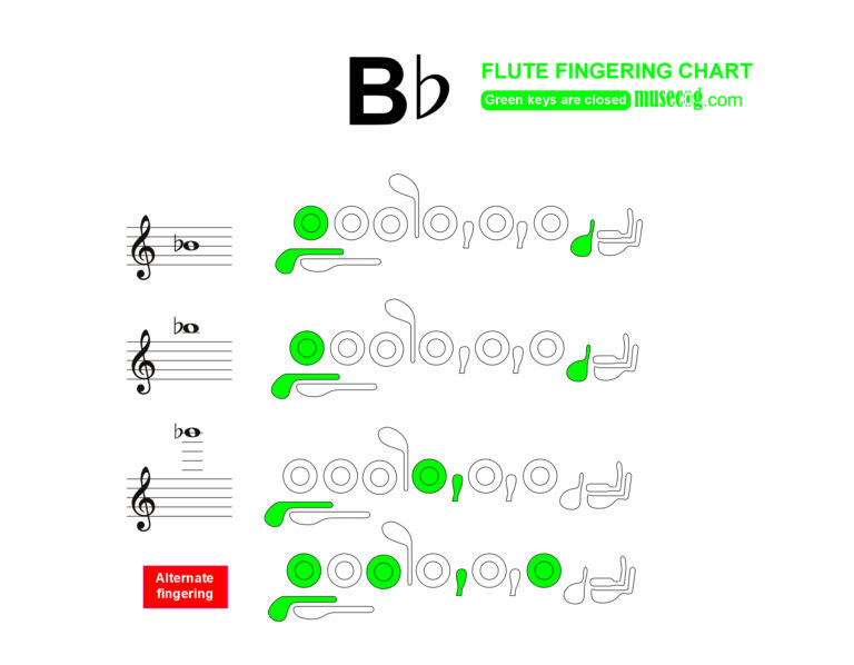 b flat n flute