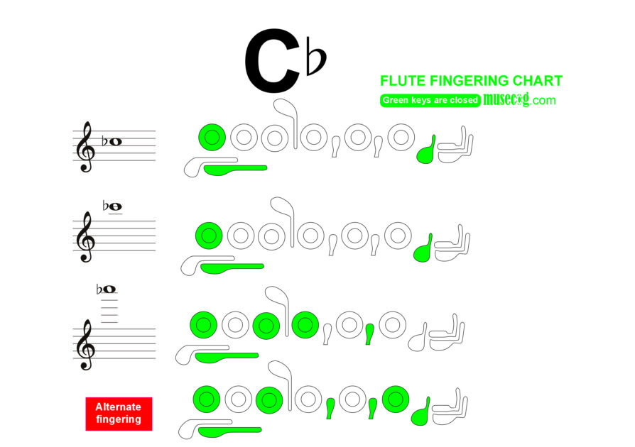 c flat flute finger