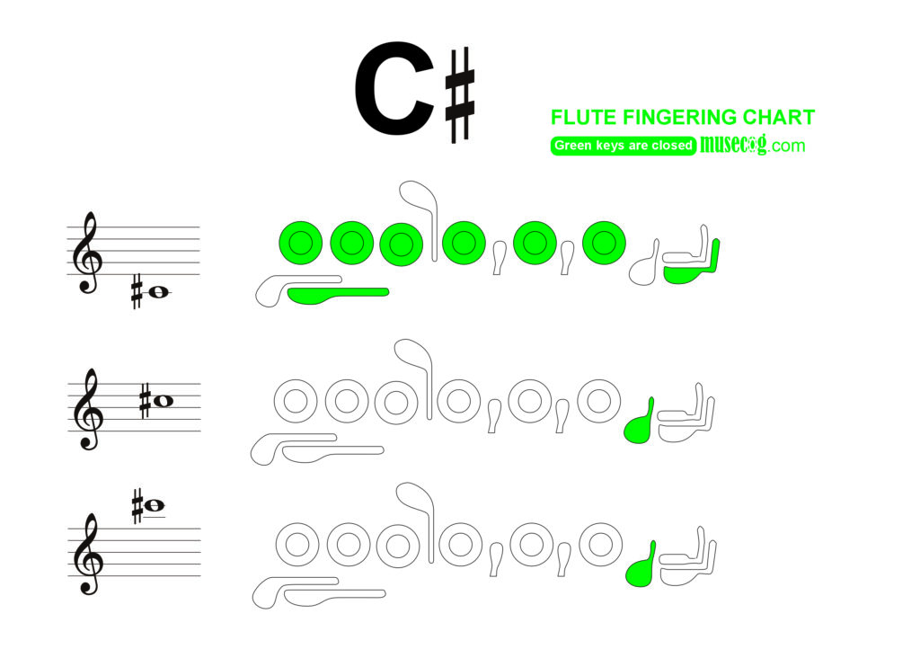 C sharp flute finger chart