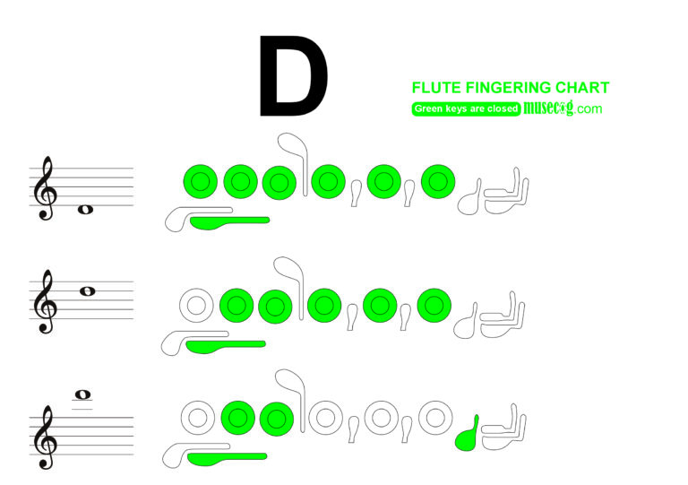 How to play D on the flute