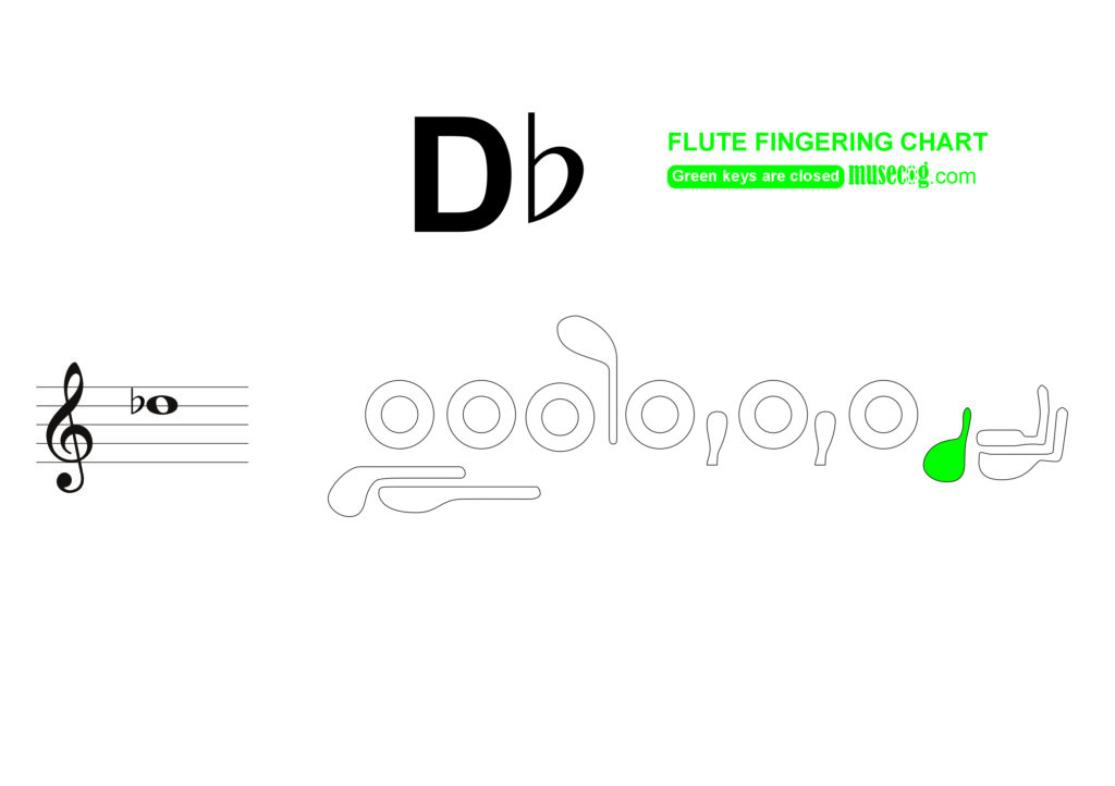 Middle D flat flute