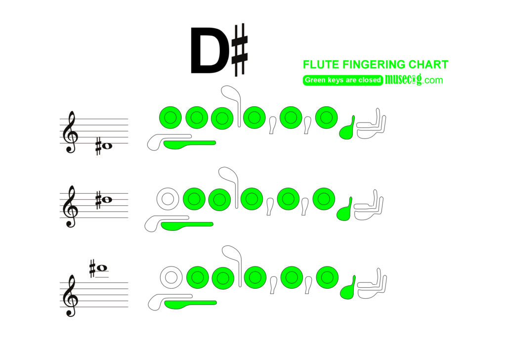 d sharp flute fingering