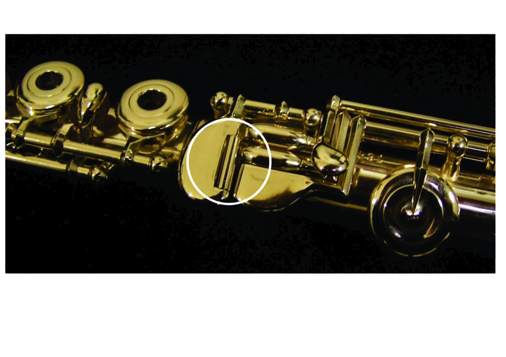 d sharp roller on flute