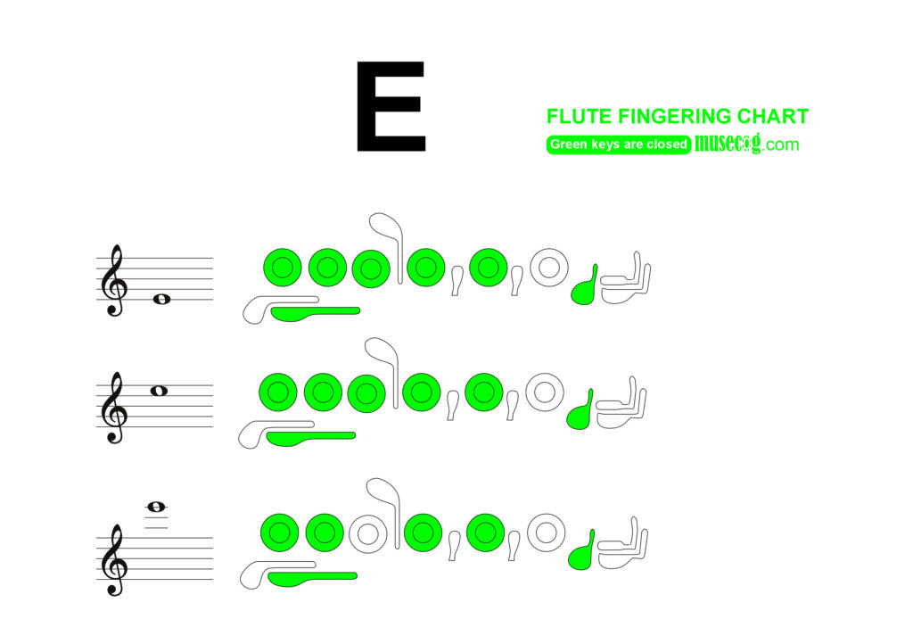 e flute finger chart