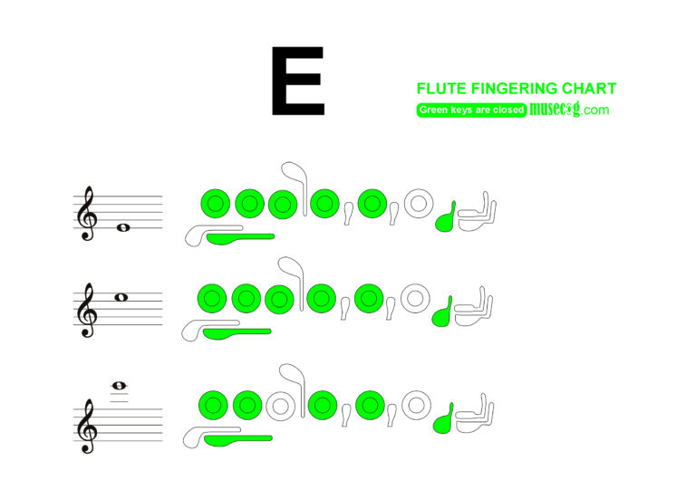 e flute finger chart
