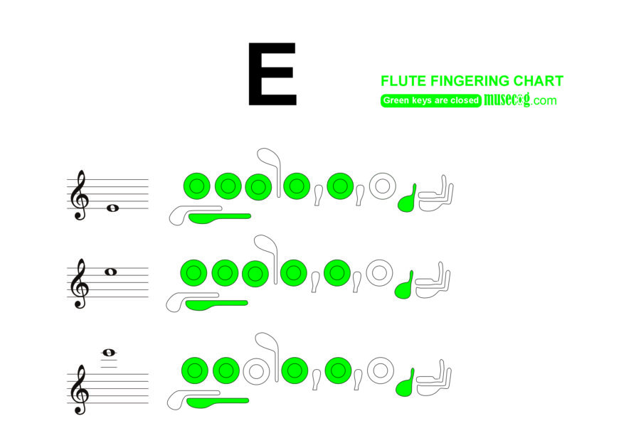 e flute finger chart