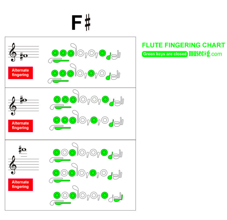 f sharp flute finger