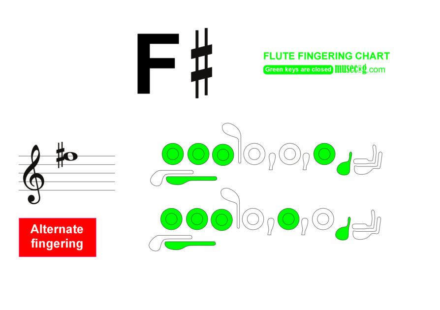 Middle F sharp flute finger placement chart