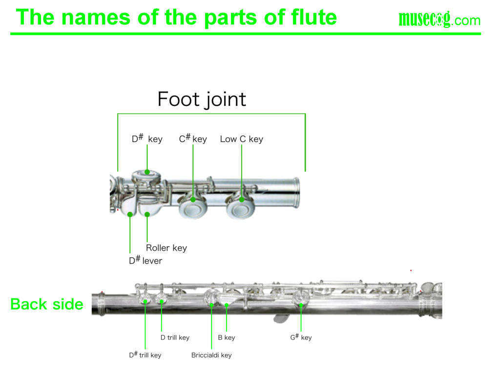 Flute Keys Names, Parts, and Functions