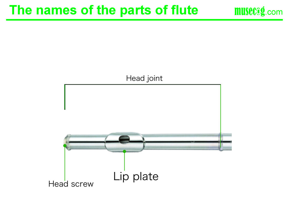 Flute Keys Names, Parts, and Functions