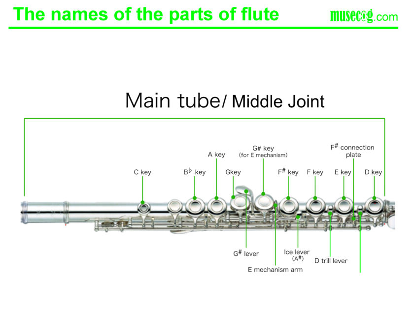 Flute Keys Names, Parts, and Functions