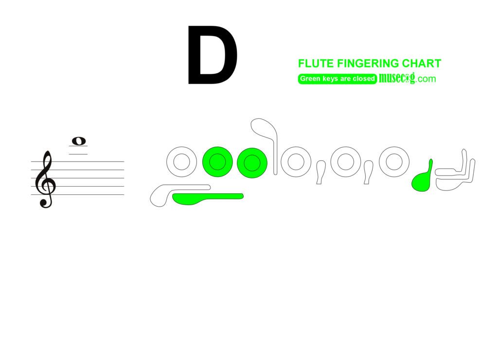 Ledger Line D flute finger placement