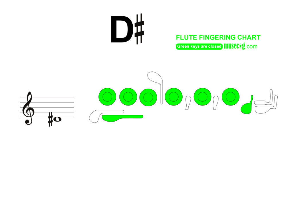 low d sharp flute