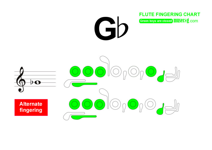 low G flat flute finger placement chart 