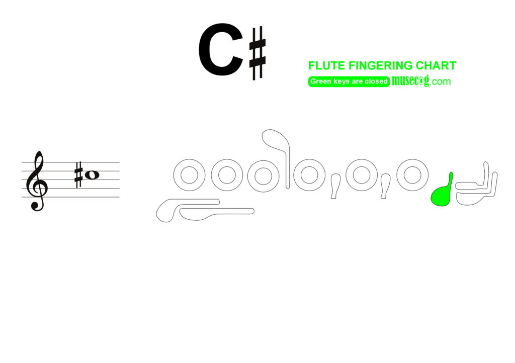 middle C sharp flute finger placement
