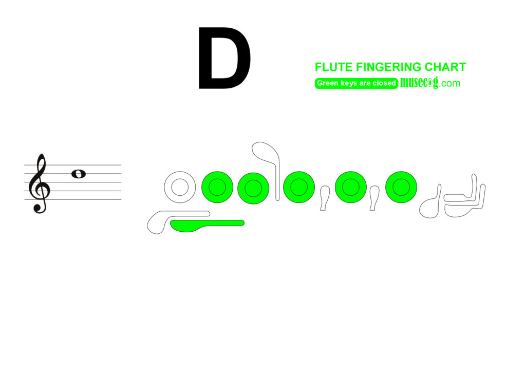 middle D flute finger placement