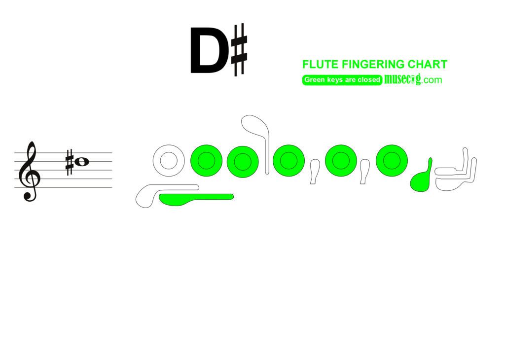 Middle D sharp flute finger placement