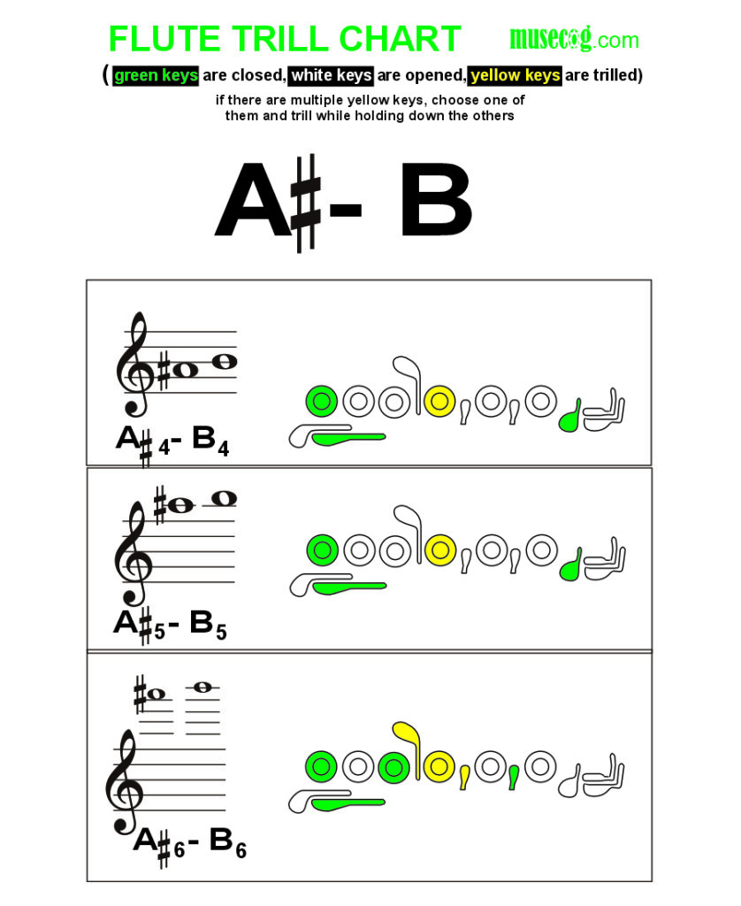 A sharp to B trill on flute