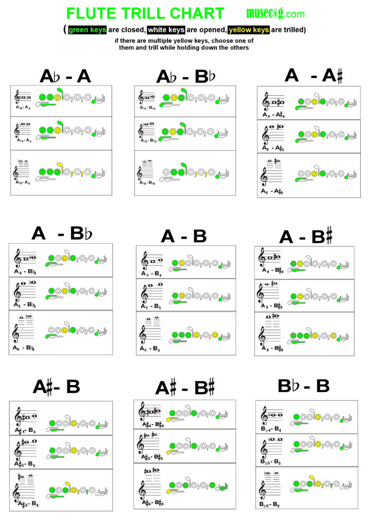 Flute Trilling Finger Position Chart | PDF