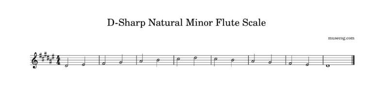 D-Sharp Natural Minor Flute Scale